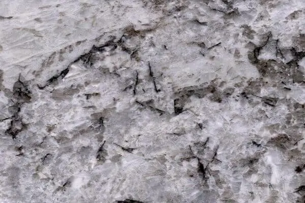 White Delicatus