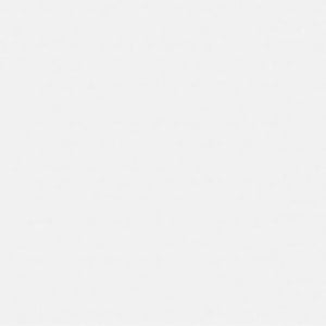 Seashell Pental Quartz Countertops