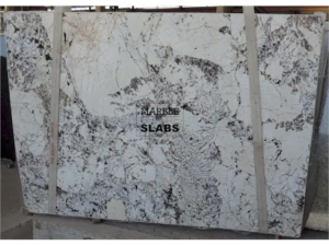 Delicatus Gold Granite Slab – golden granite with black and white contrasts
