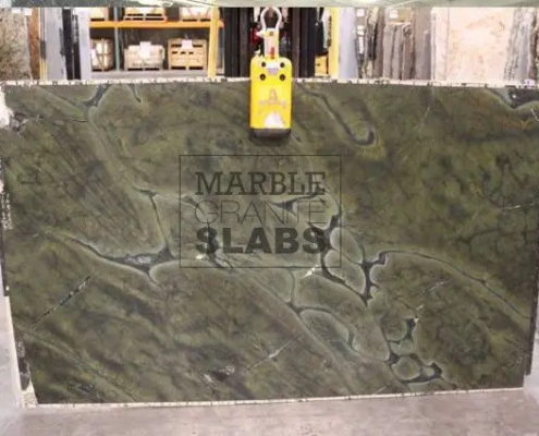 Victoria Regia Granite Slab – exotic green granite with golden veins
