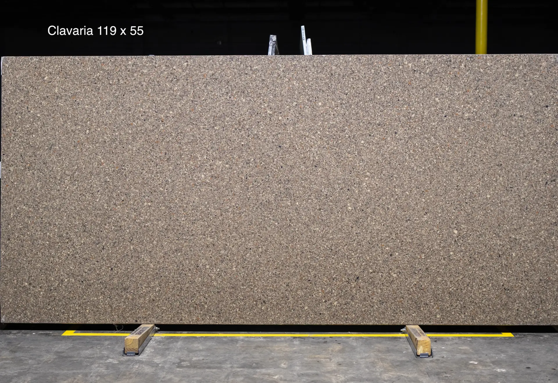 Clavaria quartz slab 119 x 55 custom quartz countertops special