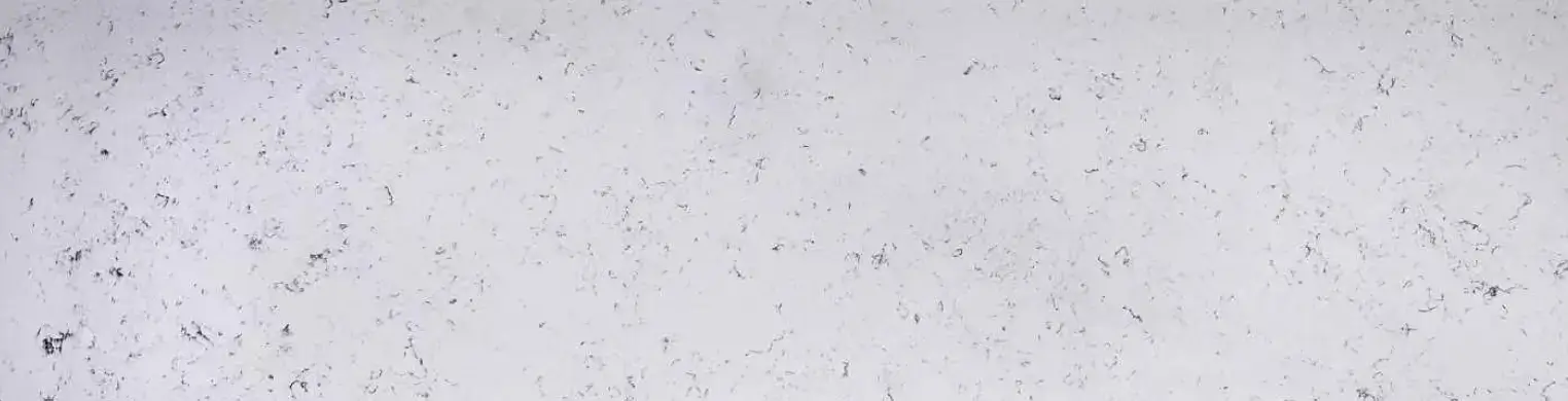 Carrara White VE-6304 prefab quartz countertop color
